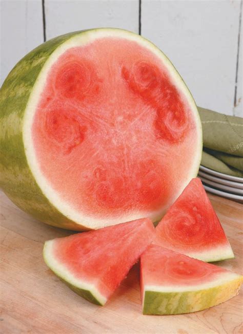 Seedless Watermelon on a Table - Prepared Food Photos, Inc.