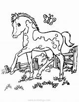 Baby Horse On The Farm Coloring Pages  XColoringscom sketch template