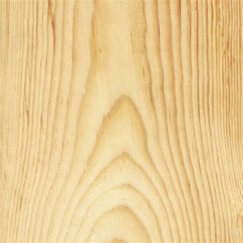 Pine Veneer Plywood | Columbia Forest Products