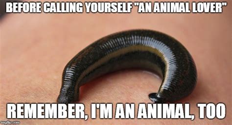 I'm Also An Animal - Imgflip