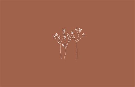 Brown Macbook Aesthetic posted by Samantha Walker, cute brown HD wallpaper | Pxfuel