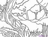 Free Rain Forest Trees Coloring Page Download  sketch template
