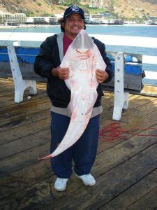 Malibu Pier - Pier Fishing in California