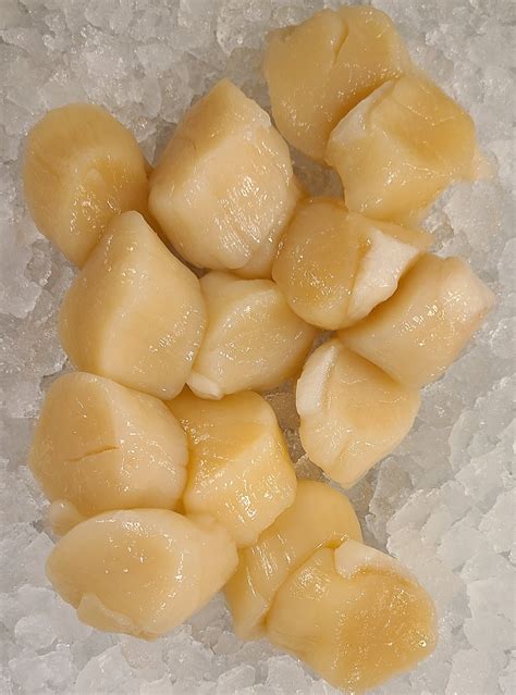 Dry Sea Scallops (10/20 count) - Lobster Maine-ia