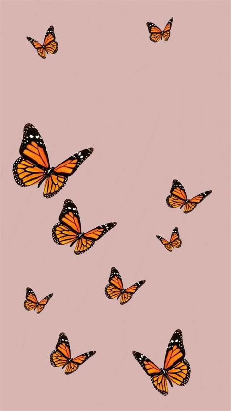 Pin by Live Happily | Yoga, Personal on Wallpapers | Butterfly wallpaper iphone, Iphone ...