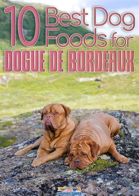 Healthiest & Best Dog Food For Dogue De Bordeaux For 2022
