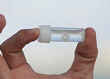 Irukandji jellyfish - Simple English Wikipedia, the free encyclopedia