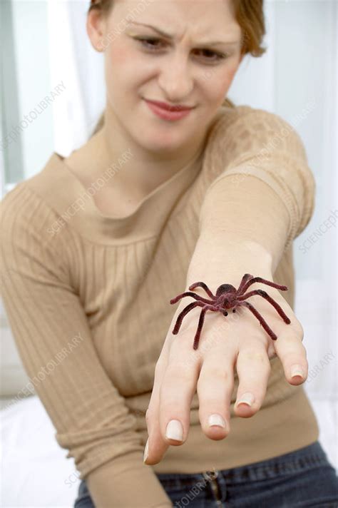 Arachnophobia treatment - Stock Image - M535/0135 - Science Photo Library