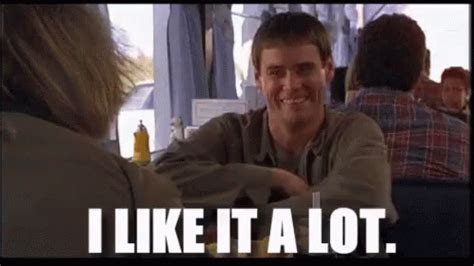 Dumb And Dumber GIF - DumbAndDumber - Discover & Share GIFs