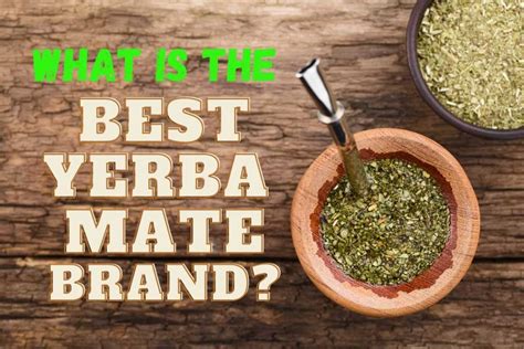 Yerba Mate Brands: The 18 Best to Drink!