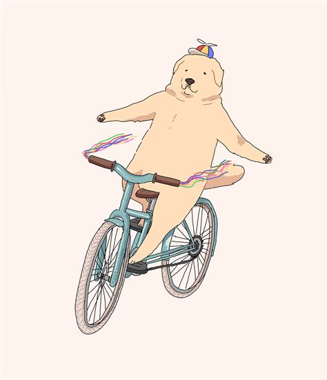 Dog on a Bicycle on Behance