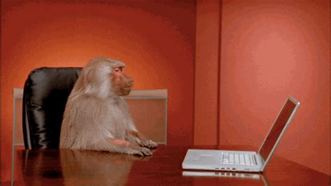 singe pousser ordinateur bureau pas envie de travailler marre Image, animated GIF