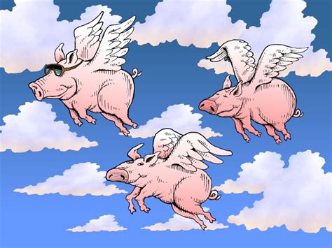 Flying pigs illustration, when pigs fly, flying pigs color cartoon, graphic metaphor, flying ...