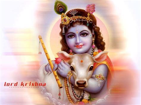 Krishna With Cow Wallpapers - Top Free Krishna With Cow Backgrounds ...