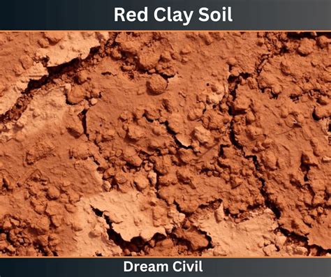 Red Soil : Properties, Texture, Advanatge, Disadvantages, Importance ...