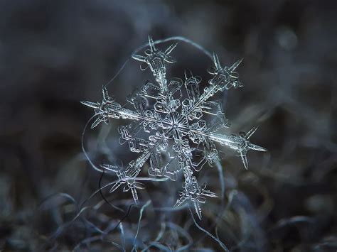 Stunning Macro Details of Uniquely Beautiful Snowflakes With An ...