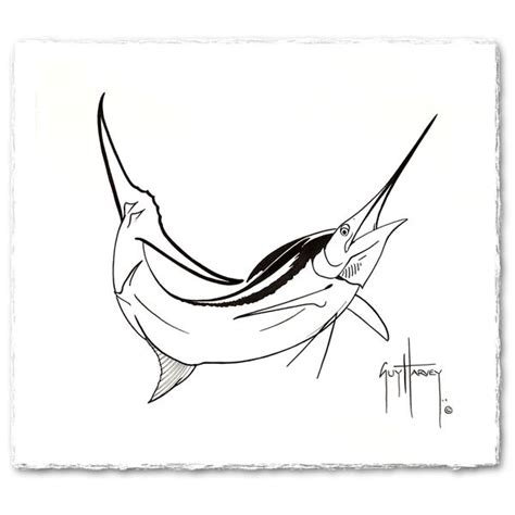 Blue Marlin Sketch at PaintingValley.com | Explore collection of Blue Marlin Sketch