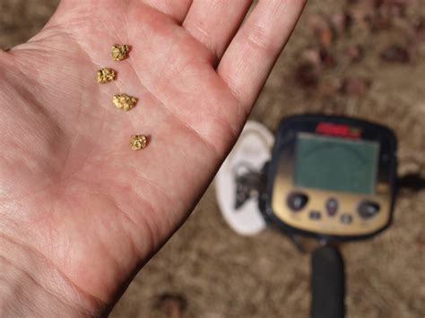 What is the Best Gold Metal Detector for Finding Gold Nuggets ...