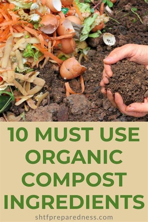 10 Must Use Organic Compost Ingredients - SHTFPreparedness | Organic compost, Healthy plants ...