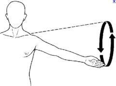 Anatomical planes and directions Foreign Language Flashcards - Cram.com