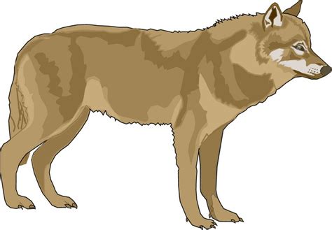 Free Wolf Animal Cliparts, Download Free Wolf Animal Cliparts png images, Free ClipArts on ...