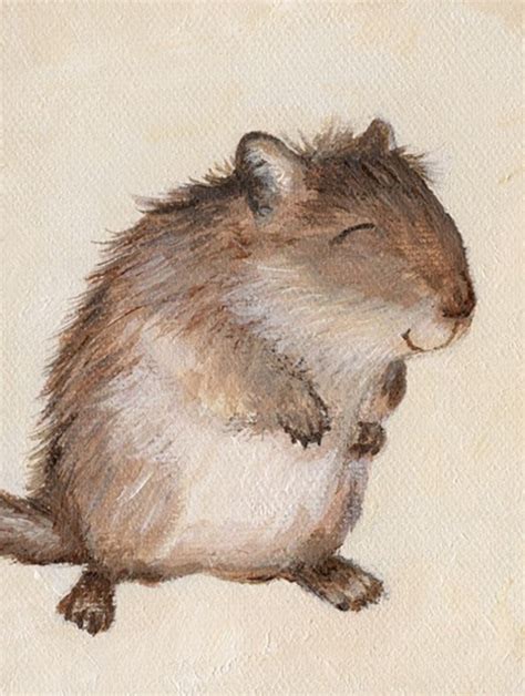 Cute Gerbil Drawing