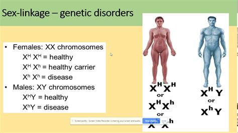 3.7.1 Inheritance. Sex linkage and autosomal linkage. AQA A level biology - YouTube