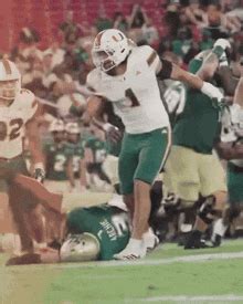 Miami Hurricanes GIFs | Tenor