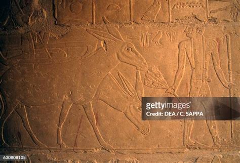 30 Khnumhotep And Niankhkhnum Stock Photos, High-Res Pictures, and Images - Getty Images