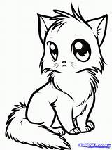 Cat Cute Kitten Coloring Page  Pages For All Ages Home sketch template