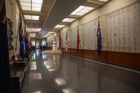 A Kiwi at the camera: Inside the Auckland War Memorial Museum