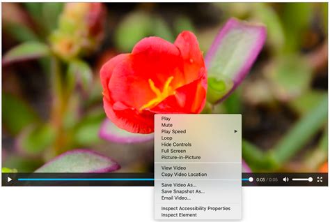 Browser Wish List - Native Video Controls Features - otsukare