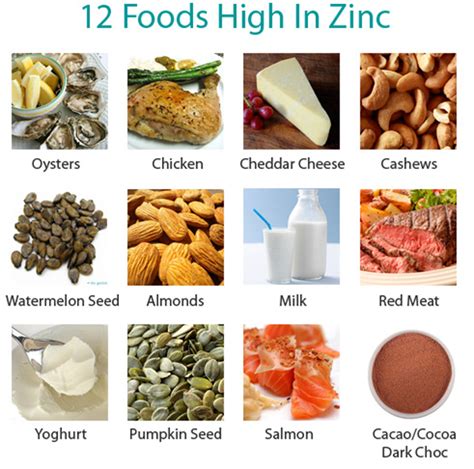 Rishi Ayurveda Hospital and Research Centre: Best Zinc Rich Foods