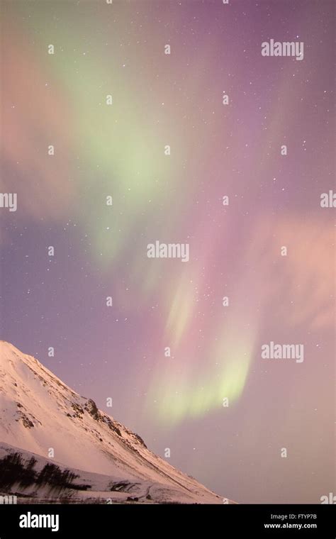 Northern lights in iceland hi-res stock photography and images - Alamy