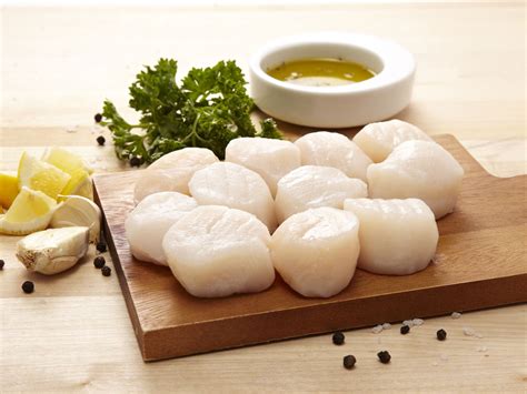 10-20 Dry Packed Fresh Scallops - Extra Large | Seafood Direct