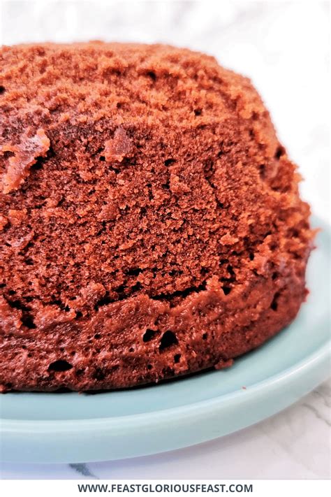 Microwave Chocolate Sponge Pudding – Feast Glorious Feast