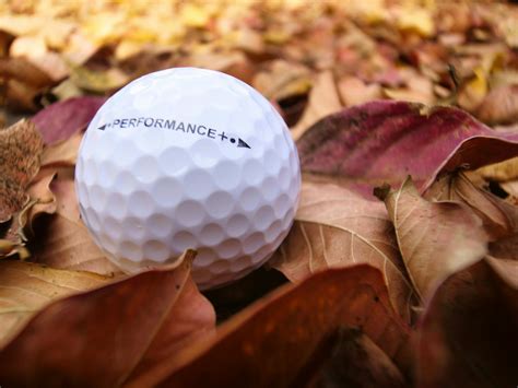 Close Up Photo of Golf Ball near a Hole · Free Stock Photo