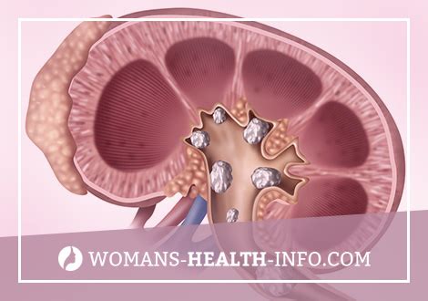 Oliguria and Anuria – Women's Health Blog