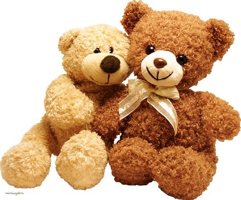 Teddy Bear PNG Transparent Images | PNG All