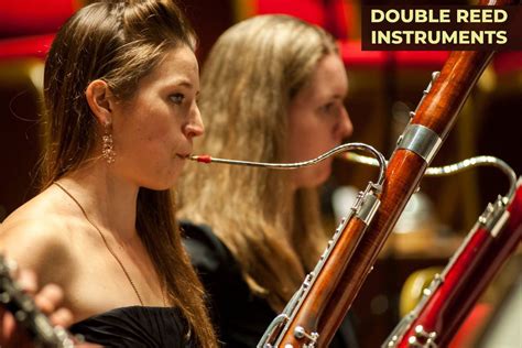 What Are Double Reed Instruments And Its Types Siachen, 45% OFF