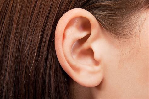 Kids Receive Lab-Grown Ears in Groundbreaking New Treatment - Goodnet