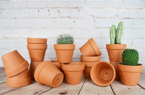 Amazon.com: My Urban Crafts 16 Pcs Small Terracotta Pots 2.5 x 3 inch ...