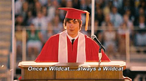 Once-a-wildcat-always-a-wildcat GIFs - Get the best GIF on GIPHY