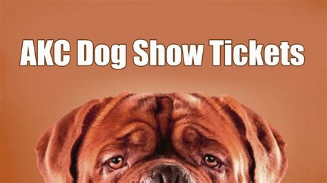 How to Buy Tickets for the 2023 AKC Dog Show - Let's Know - Dog Show TV