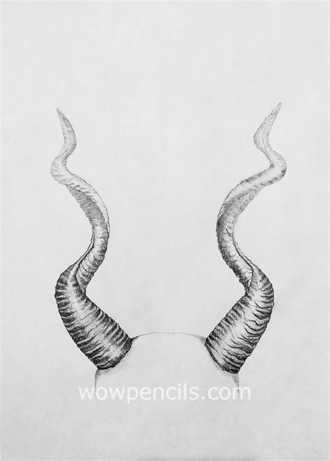 Drawing antelope horns (step 6) | WoWPencils | Dark art tattoo ...