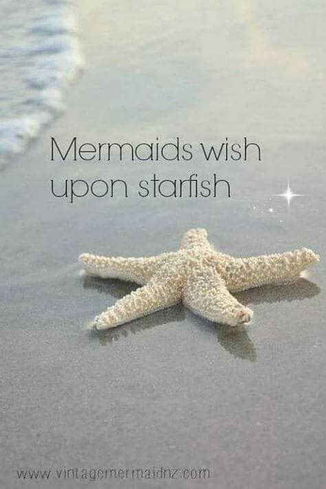 Pin by Tammy on FANTASYLAND | Beach quotes, Scuba diving quotes, Mermaid life