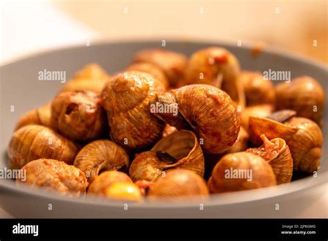 Poor dish hi-res stock photography and images - Alamy