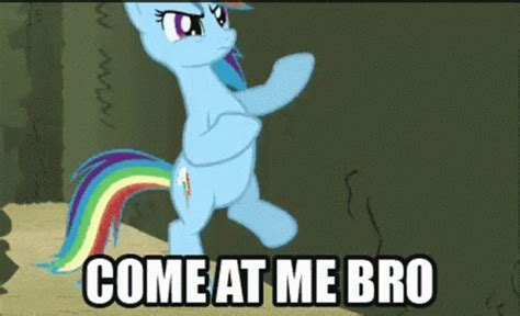 Fighting Come At Me Bro GIF - Fighting ComeAtMeBro LittlePony ...