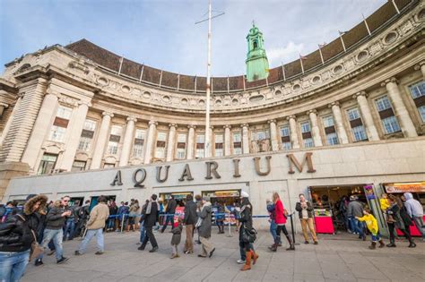 London Aquarium editorial photo. Image of architecture - 29185491