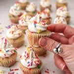 Mini Vegan Cupcakes (Birthday Cupcakes) - The Hidden Veggies